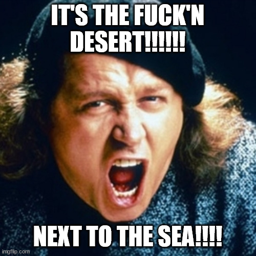 Sam kinison | IT'S THE FUCK'N DESERT!!!!!! NEXT TO THE SEA!!!! | image tagged in sam kinison | made w/ Imgflip meme maker