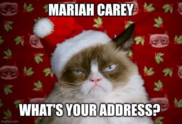 Delivery for Mariah Carey | MARIAH CAREY; WHAT'S YOUR ADDRESS? | image tagged in grumpy santa cat,mariah carey,delivery,memes,santa claus,bad santa | made w/ Imgflip meme maker