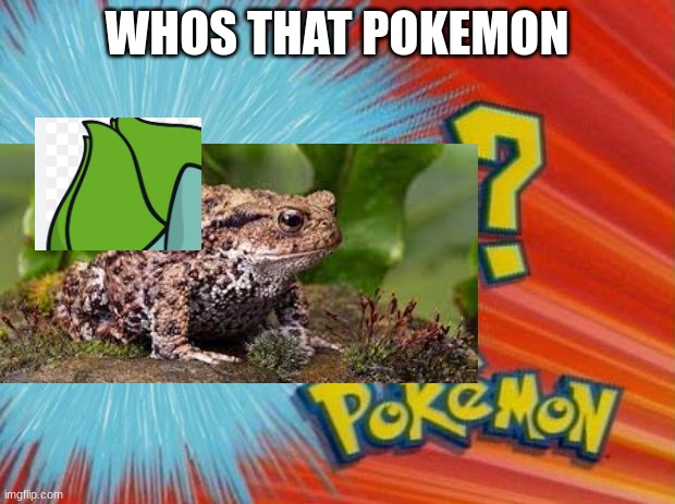 who is that pokemon | WHOS THAT POKEMON | image tagged in who is that pokemon | made w/ Imgflip meme maker