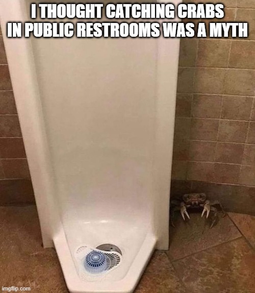 I thought catching crabs in public restrooms was a myth | I THOUGHT CATCHING CRABS IN PUBLIC RESTROOMS WAS A MYTH | image tagged in crabs,bathroom,bathroom humor | made w/ Imgflip meme maker