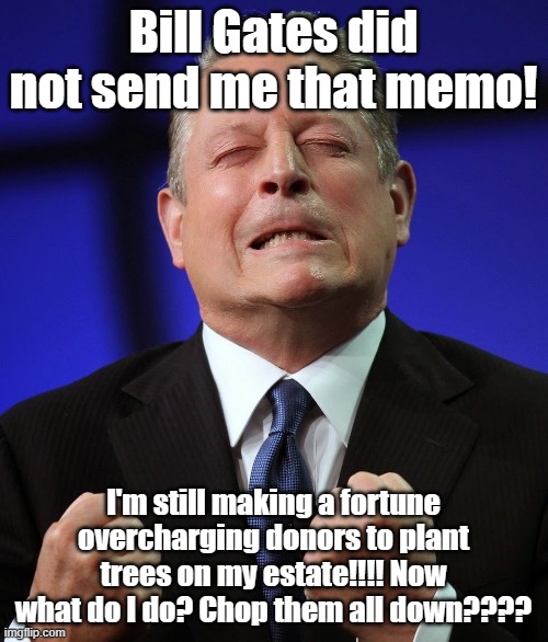 Al gore | Bill Gates did not send me that memo! I'm still making a fortune overcharging donors to plant trees on my estate!!!! Now what do I do? Chop  | image tagged in al gore | made w/ Imgflip meme maker