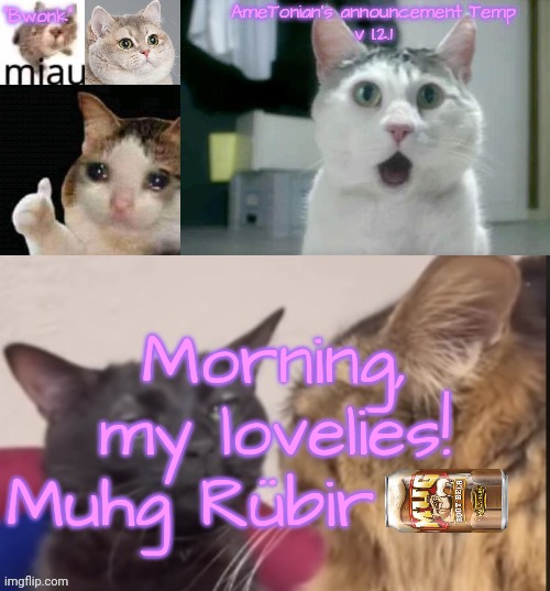 Muhg Rübir | Morning, my lovelies!
Muhg Rübir | image tagged in ametonian's announcement temp v 1 2 1 | made w/ Imgflip meme maker