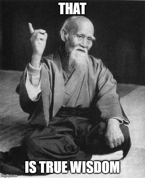 Wise Master | THAT IS TRUE WISDOM | image tagged in wise master | made w/ Imgflip meme maker