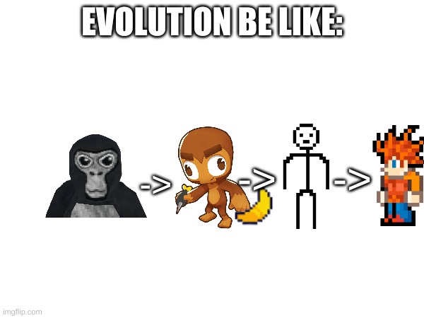 evolution | EVOLUTION BE LIKE:; ->; ->; -> | image tagged in meme,funny,true | made w/ Imgflip meme maker