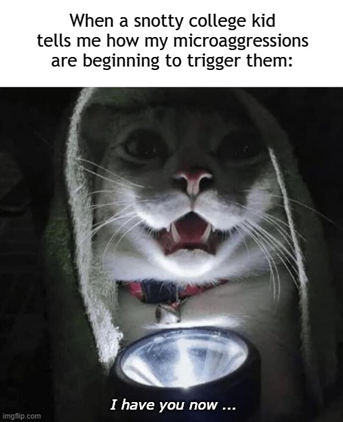 Pfffft | When a snotty college kid tells me how my microaggressions are beginning to trigger them:; I have you now ... | image tagged in blank white template,cat telling scary stories,microaggression,woke,goofy stupid liberal college student | made w/ Imgflip meme maker