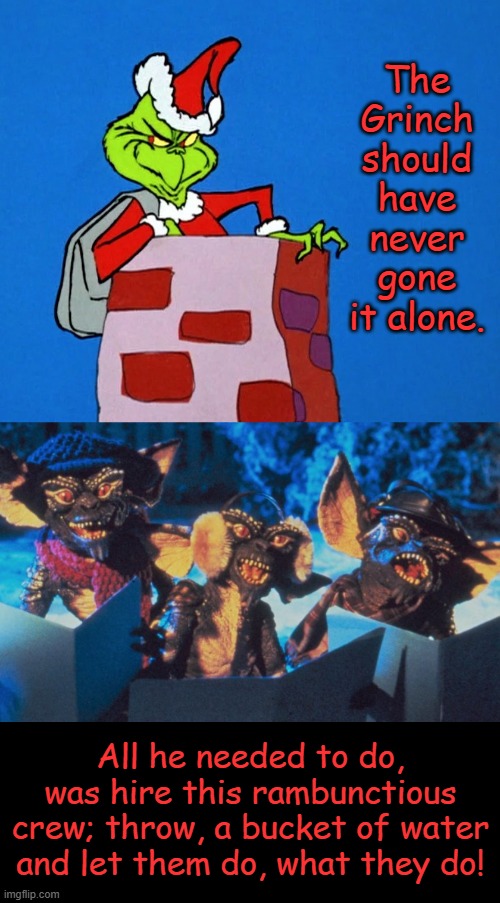 Recluse Mistake | The Grinch should have never gone it alone. All he needed to do, was hire this rambunctious crew; throw, a bucket of water and let them do, what they do! | image tagged in dr seuss,the grinch,gremlins,christmas,partners in crime | made w/ Imgflip meme maker