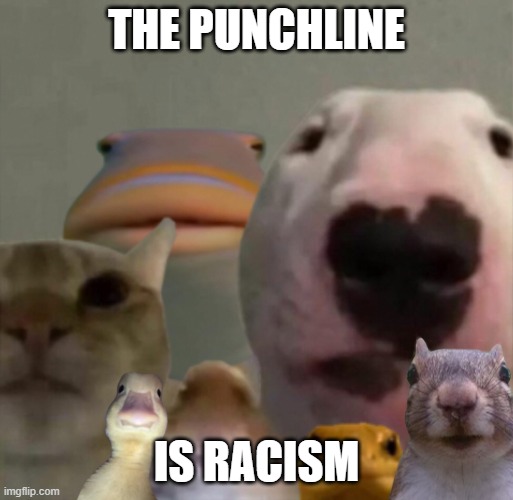 The council remastered | THE PUNCHLINE; IS RACISM | image tagged in the council remastered | made w/ Imgflip meme maker
