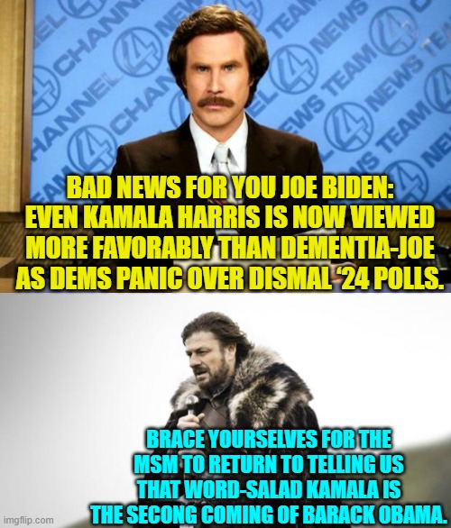 Sad . . . sad . . . Dementia Joe Biden. | BAD NEWS FOR YOU JOE BIDEN: EVEN KAMALA HARRIS IS NOW VIEWED MORE FAVORABLY THAN DEMENTIA-JOE AS DEMS PANIC OVER DISMAL ‘24 POLLS. BRACE YOURSELVES FOR THE MSM TO RETURN TO TELLING US THAT WORD-SALAD KAMALA IS THE SECONG COMING OF BARACK OBAMA. | image tagged in breaking news | made w/ Imgflip meme maker