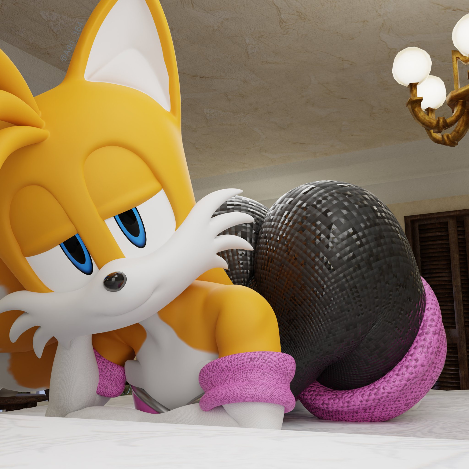 tails Blank Meme Template