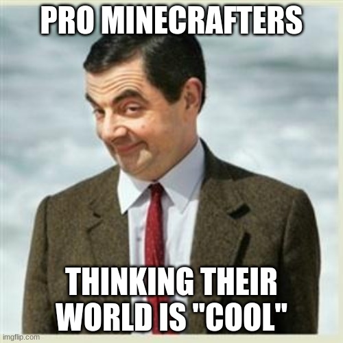 Mr Bean Smirk | PRO MINECRAFTERS; THINKING THEIR WORLD IS "COOL" | image tagged in mr bean smirk | made w/ Imgflip meme maker