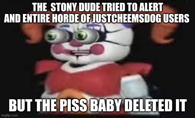 LOST LITTLE GIRL TAHT NEEDS ICE  CREAM?!?!? | THE  STONY DUDE TRIED TO ALERT AND ENTIRE HORDE OF JUSTCHEEMSDOG USERS; BUT THE PISS BABY DELETED IT | image tagged in lost little girl taht needs ice cream | made w/ Imgflip meme maker