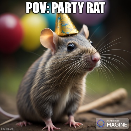 POV: PARTY RAT | made w/ Imgflip meme maker