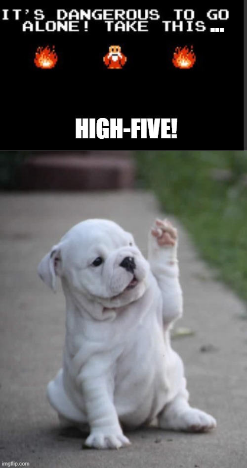 ... HIGH-FIVE! | image tagged in it's too dangerous to go alone take this,puppy high five | made w/ Imgflip meme maker