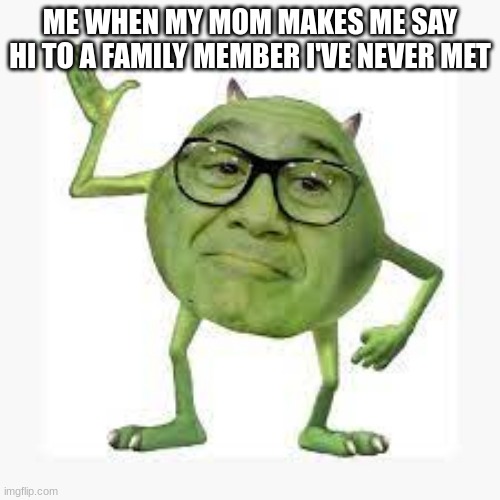 ME WHEN MY MOM MAKES ME SAY HI TO A FAMILY MEMBER I'VE NEVER MET | image tagged in mike devito | made w/ Imgflip meme maker