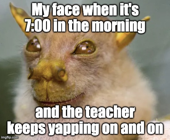 Im tired bruh | My face when it's 7:00 in the morning; and the teacher keeps yapping on and on | image tagged in school,yapping | made w/ Imgflip meme maker