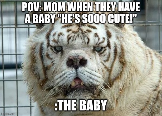 POV: MOM WHEN THEY HAVE A BABY "HE'S SOOO CUTE!"; :THE BABY | made w/ Imgflip meme maker