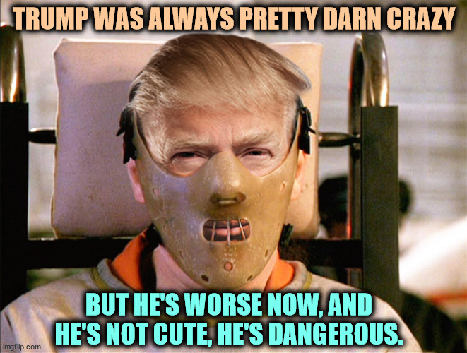 It's not fun any more. He's deteriorating. | TRUMP WAS ALWAYS PRETTY DARN CRAZY; BUT HE'S WORSE NOW, AND HE'S NOT CUTE, HE'S DANGEROUS. | image tagged in trump hannibal lecter crazy mad insane bonkers,trump,crazy,nazi,hitler | made w/ Imgflip meme maker