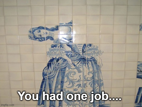 Bro how can you even mess this up...? | You had one job.... | image tagged in you had one job | made w/ Imgflip meme maker