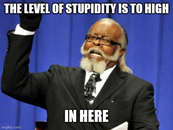 Stupidly to high | THE LEVEL OF STUPIDITY IS TO HIGH; IN HERE | image tagged in memes,too damn high,funny memes | made w/ Imgflip meme maker