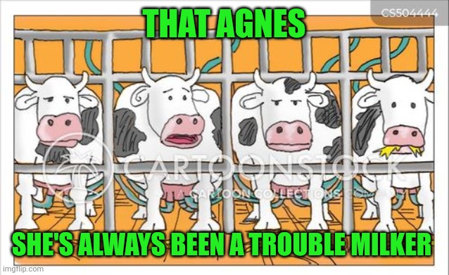 Cows | THAT AGNES; SHE'S ALWAYS BEEN A TROUBLE MILKER | image tagged in cows | made w/ Imgflip meme maker