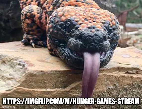 gila monster lick | HTTPS://IMGFLIP.COM/M/HUNGER-GAMES-STREAM | image tagged in gila monster lick | made w/ Imgflip meme maker