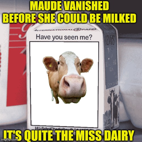 Missing Person | MAUDE VANISHED BEFORE SHE COULD BE MILKED; IT'S QUITE THE MISS DAIRY | image tagged in missing person | made w/ Imgflip meme maker