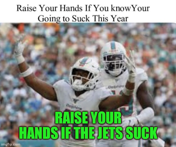 Jets aren't that good | RAISE YOUR HANDS IF THE JETS SUCK | image tagged in miami dolphins,funny memes | made w/ Imgflip meme maker