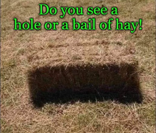 Do you see a hole or a bail of hay! | made w/ Imgflip meme maker