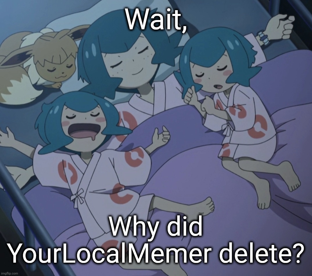 Lana sleeping | Wait, Why did YourLocalMemer delete? | image tagged in lana sleeping | made w/ Imgflip meme maker