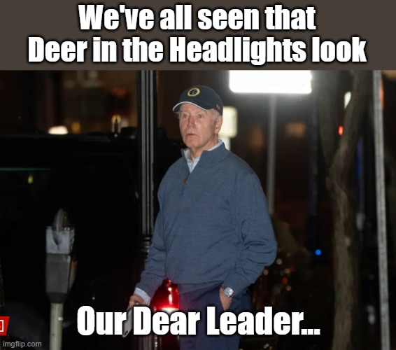 Somehow I just feel safer and sleep better at night. Signed China | We've all seen that Deer in the Headlights look; Our Dear Leader... | image tagged in biden | made w/ Imgflip meme maker