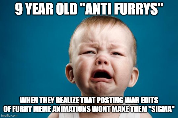 nobody cares bro ? | 9 YEAR OLD "ANTI FURRYS"; WHEN THEY REALIZE THAT POSTING WAR EDITS OF FURRY MEME ANIMATIONS WONT MAKE THEM "SIGMA" | image tagged in baby crying | made w/ Imgflip meme maker