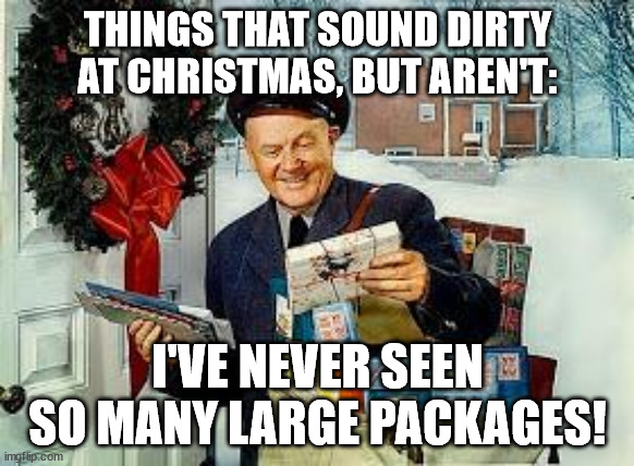 Things That Sound Dirty At Christmas, But Aren't (Part 11) | THINGS THAT SOUND DIRTY AT CHRISTMAS, BUT AREN'T:; I'VE NEVER SEEN SO MANY LARGE PACKAGES! | image tagged in package,funny,humor,christmas,double entendre | made w/ Imgflip meme maker