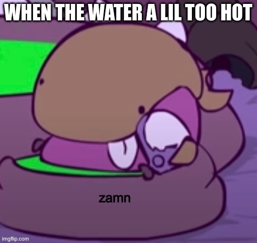 derpfestor zamn | WHEN THE WATER A LIL TOO HOT | image tagged in derpfestor zamn | made w/ Imgflip meme maker
