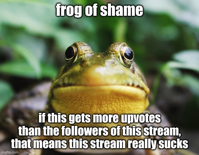 Frog of Shame | frog of shame; if this gets more upvotes than the followers of this stream, that means this stream really sucks | image tagged in frog of shame | made w/ Imgflip meme maker