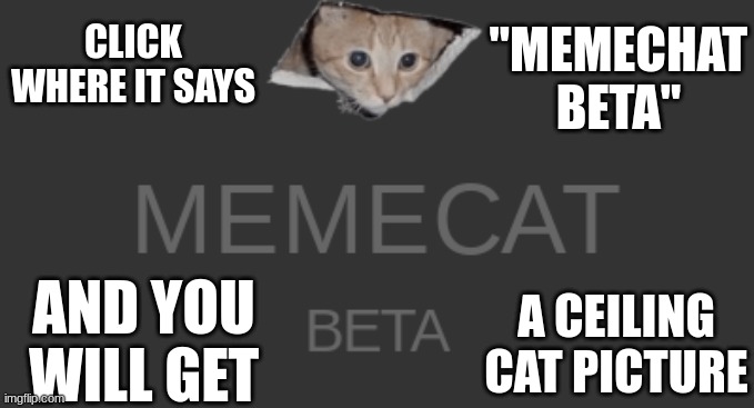 It's a cool easter egg / secret :] | "MEMECHAT BETA"; CLICK WHERE IT SAYS; AND YOU WILL GET; A CEILING CAT PICTURE | image tagged in random,easter eggs,secrets,fun fact | made w/ Imgflip meme maker