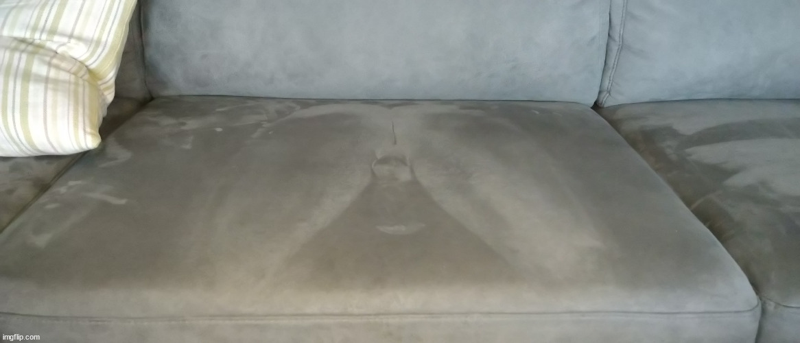 image tagged in penis/couch | made w/ Imgflip meme maker
