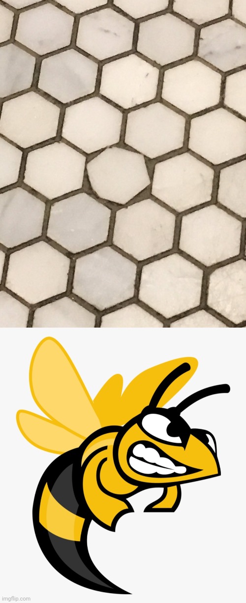 Hexagon tiles | image tagged in angry bee,i call it a honeycomb,tiles,you had one job,memes,hexagon | made w/ Imgflip meme maker