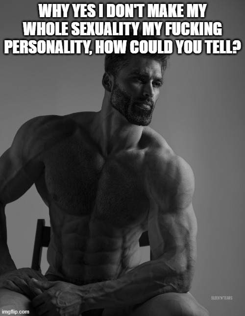 U don't see me saying "Sallie the straight guy | WHY YES I DON'T MAKE MY WHOLE SEXUALITY MY FUСKING PERSONALITY, HOW COULD YOU TELL? | image tagged in giga chad | made w/ Imgflip meme maker