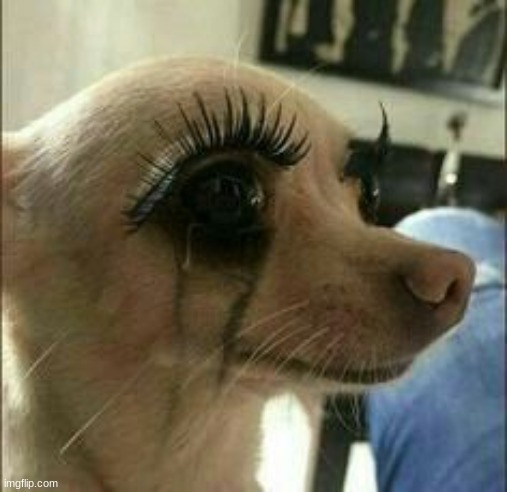 me too doggo me too | made w/ Imgflip meme maker