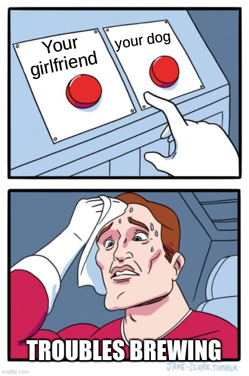 WHICH WILL YOU CHOOSE | your dog; Your girlfriend; TROUBLES BREWING | image tagged in memes,two buttons,girlfriend,dog | made w/ Imgflip meme maker