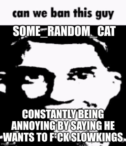 Can we ban this guy | SOME_RANDOM_CAT; CONSTANTLY BEING ANNOYING BY SAYING HE WANTS TO F*CK SLOWKINGS | image tagged in can we ban this guy | made w/ Imgflip meme maker
