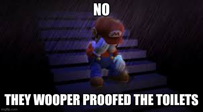 Sad mario | NO THEY WOOPER PROOFED THE TOILETS | image tagged in sad mario | made w/ Imgflip meme maker