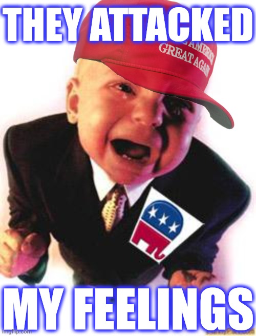 Crying republican | THEY ATTACKED MY FEELINGS | image tagged in crying republican | made w/ Imgflip meme maker