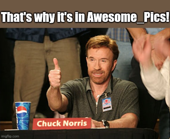 Chuck Norris Approves Meme | That's why it's in Awesome_Pics! | image tagged in memes,chuck norris approves,chuck norris | made w/ Imgflip meme maker