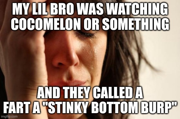 Why did they do that | MY LIL BRO WAS WATCHING COCOMELON OR SOMETHING; AND THEY CALLED A FART A "STINKY BOTTOM BURP" | image tagged in memes,first world problems | made w/ Imgflip meme maker