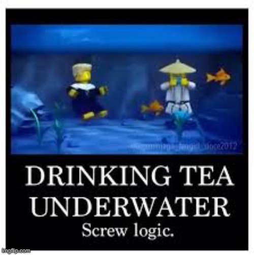 Ninjago Logic | image tagged in ninjago logic | made w/ Imgflip meme maker