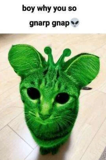 gnarp gnarp Blank Meme Template
