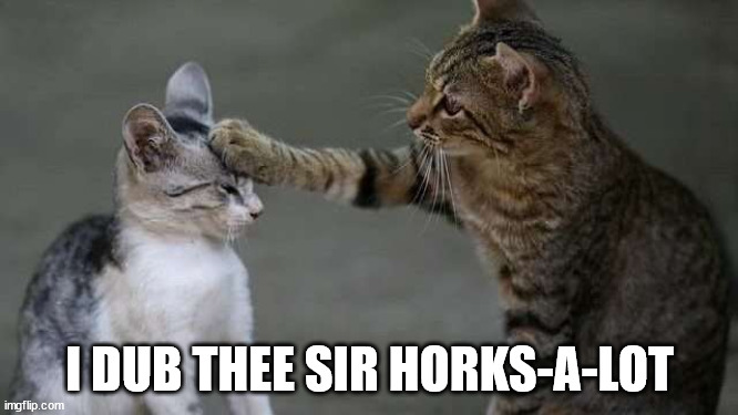 Sir Horks-A-Lot | I DUB THEE SIR HORKS-A-LOT | image tagged in cat | made w/ Imgflip meme maker