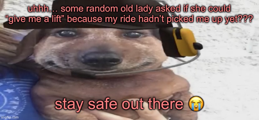 i’m honestly taking this as a compliment, i’m so good-looking that someone tried to kidnap me! | uhhh… some random old lady asked if she could “give me a lift” because my ride hadn’t picked me up yet??? stay safe out there 😭 | image tagged in chucklenuts | made w/ Imgflip meme maker