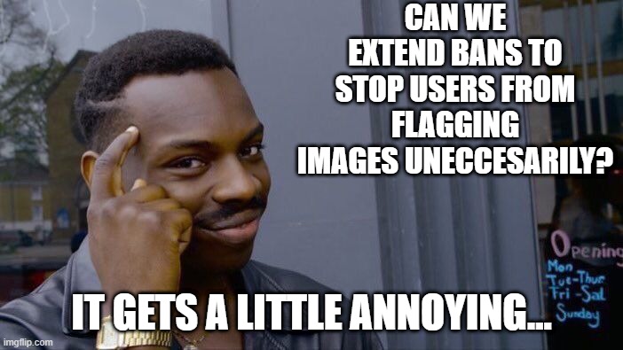 Bans Frequent Flaggers | CAN WE EXTEND BANS TO STOP USERS FROM FLAGGING IMAGES UNECCESARILY? IT GETS A LITTLE ANNOYING... | image tagged in memes,roll safe think about it | made w/ Imgflip meme maker